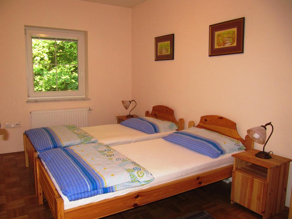 Apartment Vintgar Словенска-Бістріца Екстер'єр фото
